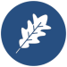 Eichenblatt Piktogramm